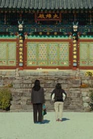 The Mountain Between Us