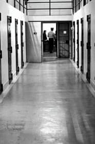 A Warehouse for Bodies