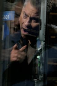 Pedestrian Activities