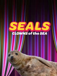 Seals - Clowns of the Sea