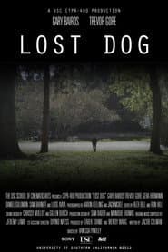 Lost Dog
