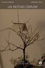 Un destino comune