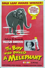 The Boy Who Owned a Melephant