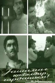 The Life is Beautiful, Brother!