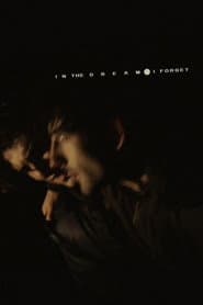 In the Dream I Forget