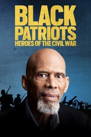 Black Patriots: Heroes of the Civil War