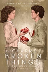 The Charms in Broken Things