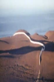 Christo Running Fence Reels