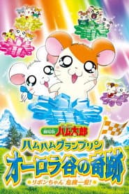 Hamtaro: Miracle in Aurora Valley