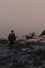 Orgosolo’s Shepherds