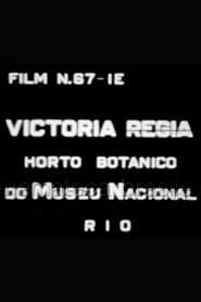 Victória Régia: Horto Botânico do Museu Nacional
