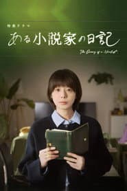 The Diary of a Novelist