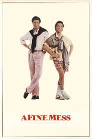 A Fine Mess