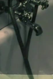 Man & Woman & Animal