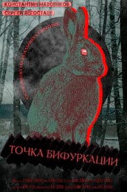 Point Of Bifurcation