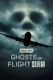 Ghosts of Flight 401