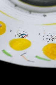 Le Désordre Des Choses