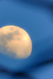 Moon Moss Wood Grain