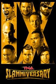 TNA Slammiversary IX