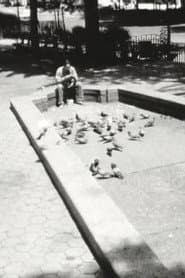 Angels Watching Over Me