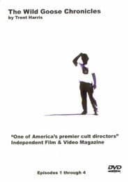 The Wild Goose Chronicles