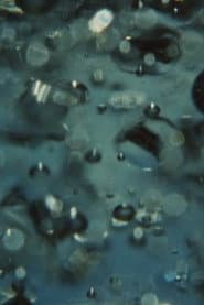 For a Young Filmmaker