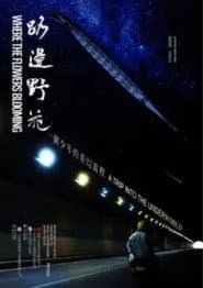 Where The Flowers Blooming