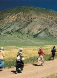 The Nightly Song of the Travellers