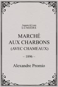 Marché aux charbons (avec chameaux)