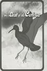 The Last of the Curlews