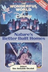 Joker, The Amiable Ocelot