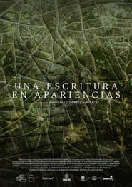 Una Escritura En Apariencias