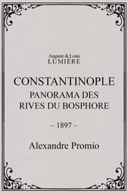 Constantinople, panorama des rives du Bosphore