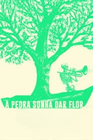 A Pedra Sonha Dar Flor