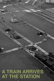 A Train Arrives at the Station