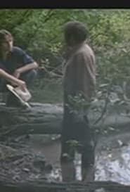 What Sebastian Dreamt