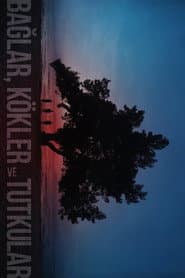 Bonds, Roots and Passions