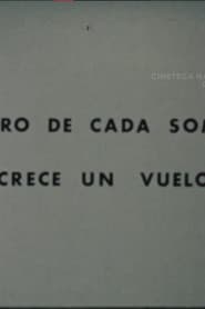 Dentro de Cada Sombra Crece un Vuelo