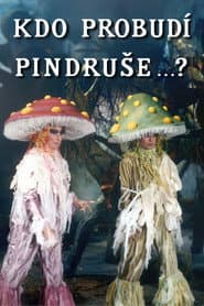 Kdo probudí Pindruše...?