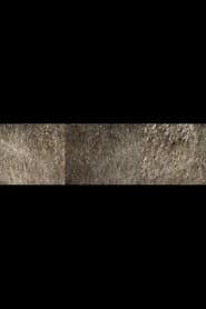 Nebraska Grasses Veils