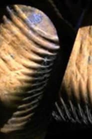 Passage Through Infinity