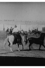 Buffalo Bill: lassage de chevaux
