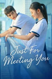 Just For Meeting You