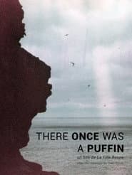 There Once was A Puffin