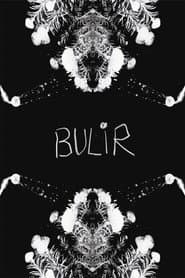 BULIR