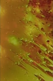 (the daily compromise of) My Enmeshment