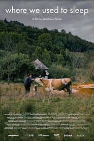 Where We Used to Sleep