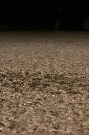 Snails Steadily Stroll the Street 2: Diligent Dirt-Dwellers Dash (Snails Steadily Stroll Lenin Nightcore Remix)