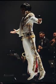 Tupelo - 40th Birthday