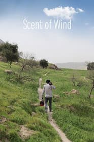 Scent of Wind